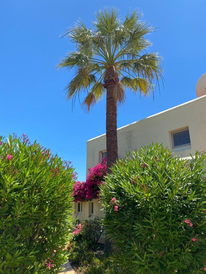 Casa Sacha Villa Carvoeiro  Dış mekan fotoğraf